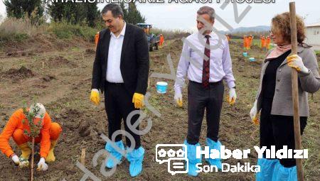 Dalaman’da Tarımsal Kalkınma: Cezaevi Arazisine Sakız Ağacı Projesi