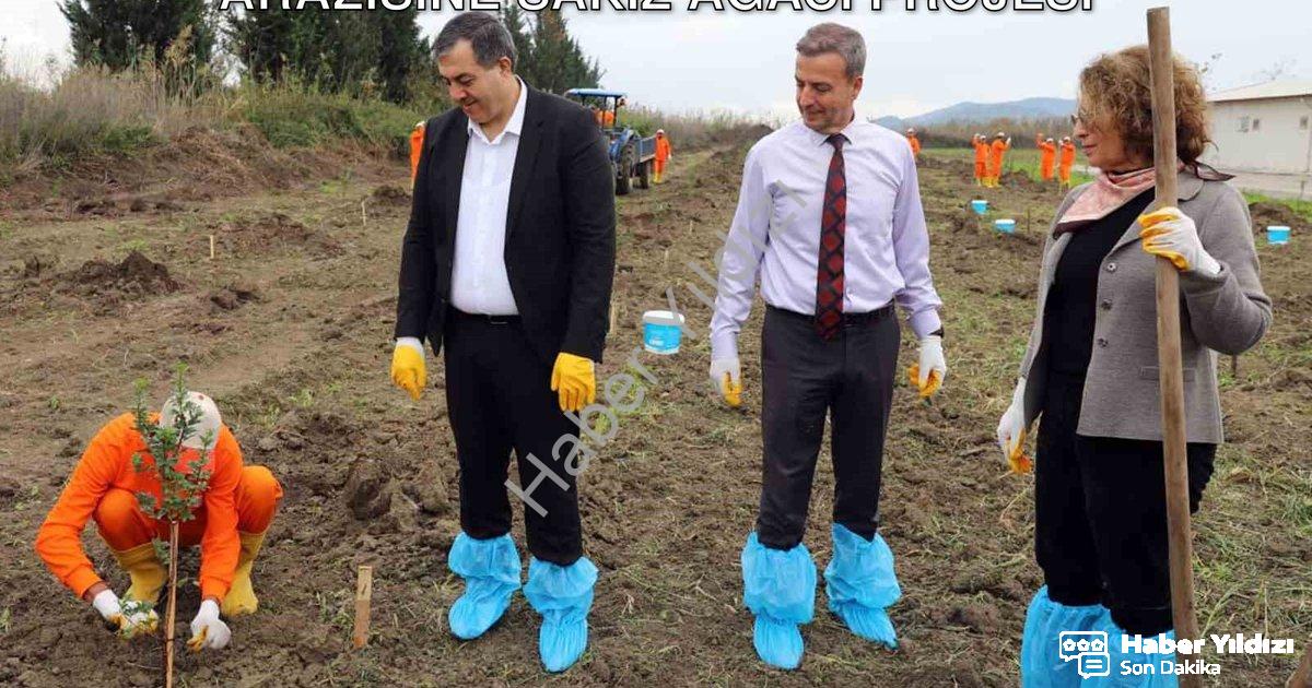 "Dalaman'da Tarımsal Kalkınma: Cezaevi Arazisine Sakız Ağacı Projesi" başlıklı haber için fotorealis