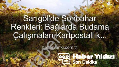 Sarıgöl’de Sonbahar Büyüsü: Üzüm Bağlarında Kartpostallık Budama Sezonu Başladı