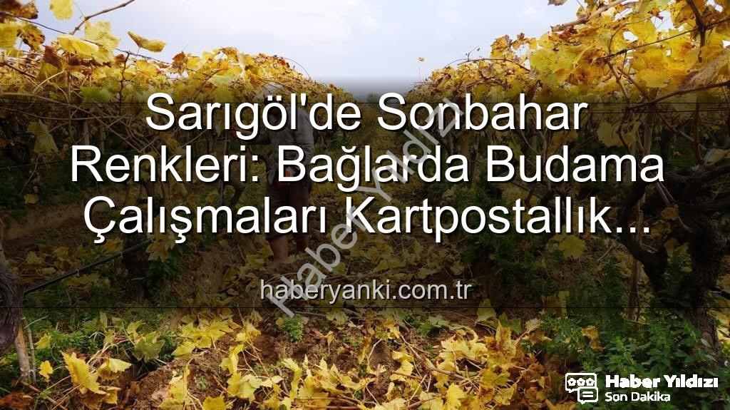 Sarıgöl budama - Sarıgöl'de Sonbahar Büyüsü: Üzüm Bağlarında Kartpostallık Budama Sezonu Başladı