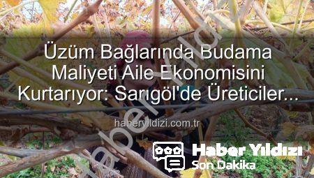 Üzüm Bağlarında Budama Maliyeti Aile Ekonomisini Kurtarıyor: Sarıgöl’de Üreticiler Kendi Kendine Yeterli Hale Geldi