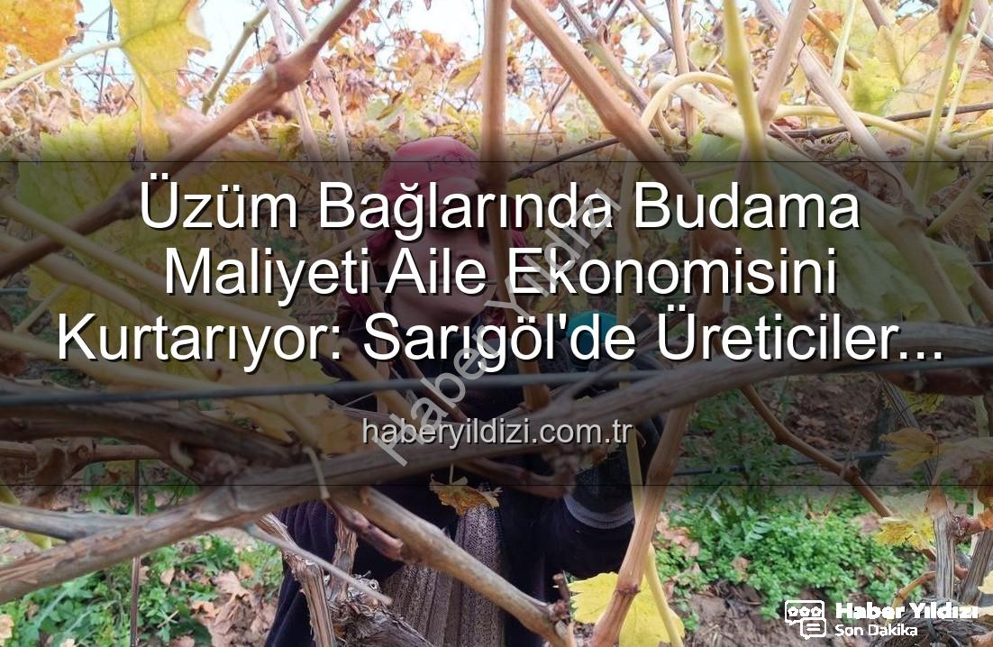 budama maliyeti - Üzüm Bağlarında Budama Maliyeti Aile Ekonomisini Kurtarıyor: Sarıgöl'de Üreticiler Kendi Kendine Yeterli Hale Geldi