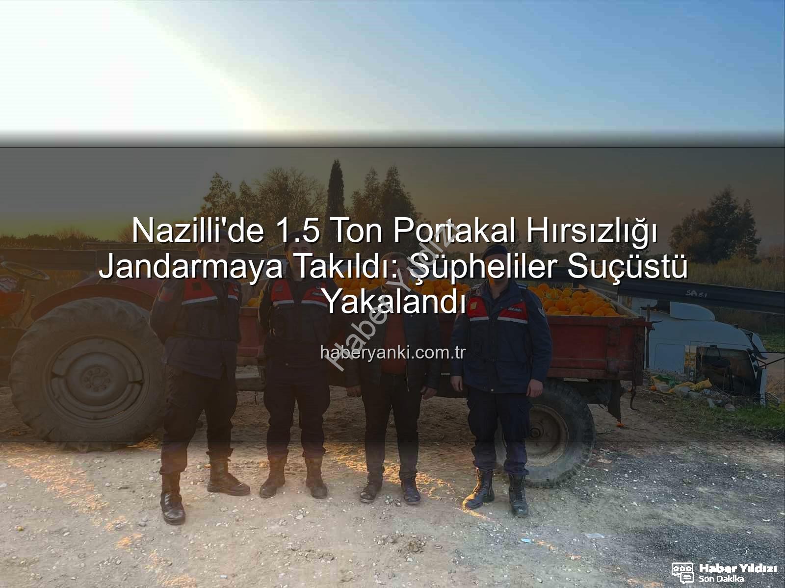 portakal hırsızlığı - Nazilli'de Nefes Kesen Operasyon: 1,5 Ton Portakal Hırsızlığı Jandarmaya Takıldı!