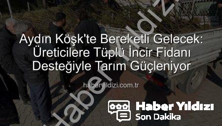 Aydın Köşk’te Bereketli Gelecek: Üreticilere Tüplü İncir Fidanı Desteğiyle Tarım Güçleniyor