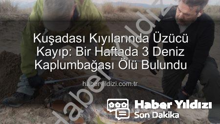 Kuşadası Kıyılarında Üzücü Kayıp: Bir Haftada 3 Deniz Kaplumbağası Ölü Bulundu
