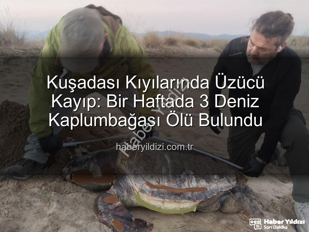 deniz kaplumbağası ölümleri - Kuşadası Kıyılarında Üzücü Kayıp: Bir Haftada 3 Deniz Kaplumbağası Ölü Bulundu