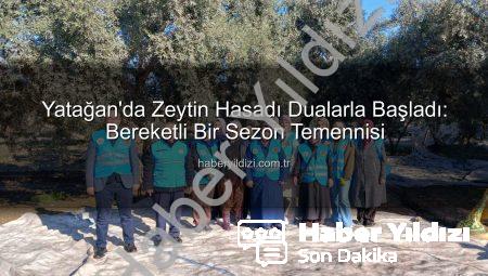 Yatağan’da Zeytin Hasadı Dualarla Başladı: Bereketli Bir Sezon Temennisi