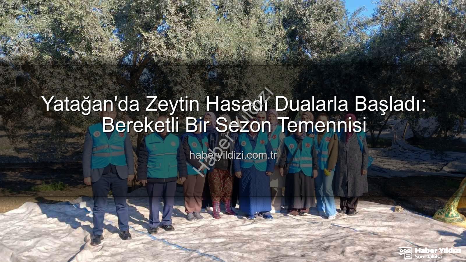 Yatağan zeytin hasadı - Yatağan'da Zeytin Hasadı Dualarla Başladı: Bereketli Bir Sezon Temennisi