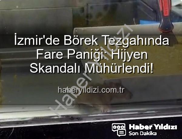 İzmir börekçi fare - İzmir'de Börek Tezgahında Fare Paniği: Hijyen Skandalı Mühürlendi!