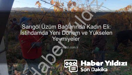 Sarıgöl Üzüm Bağlarında Kadın Eli: İstihdamda Yeni Dönem ve Yükselen Yevmiyeler
