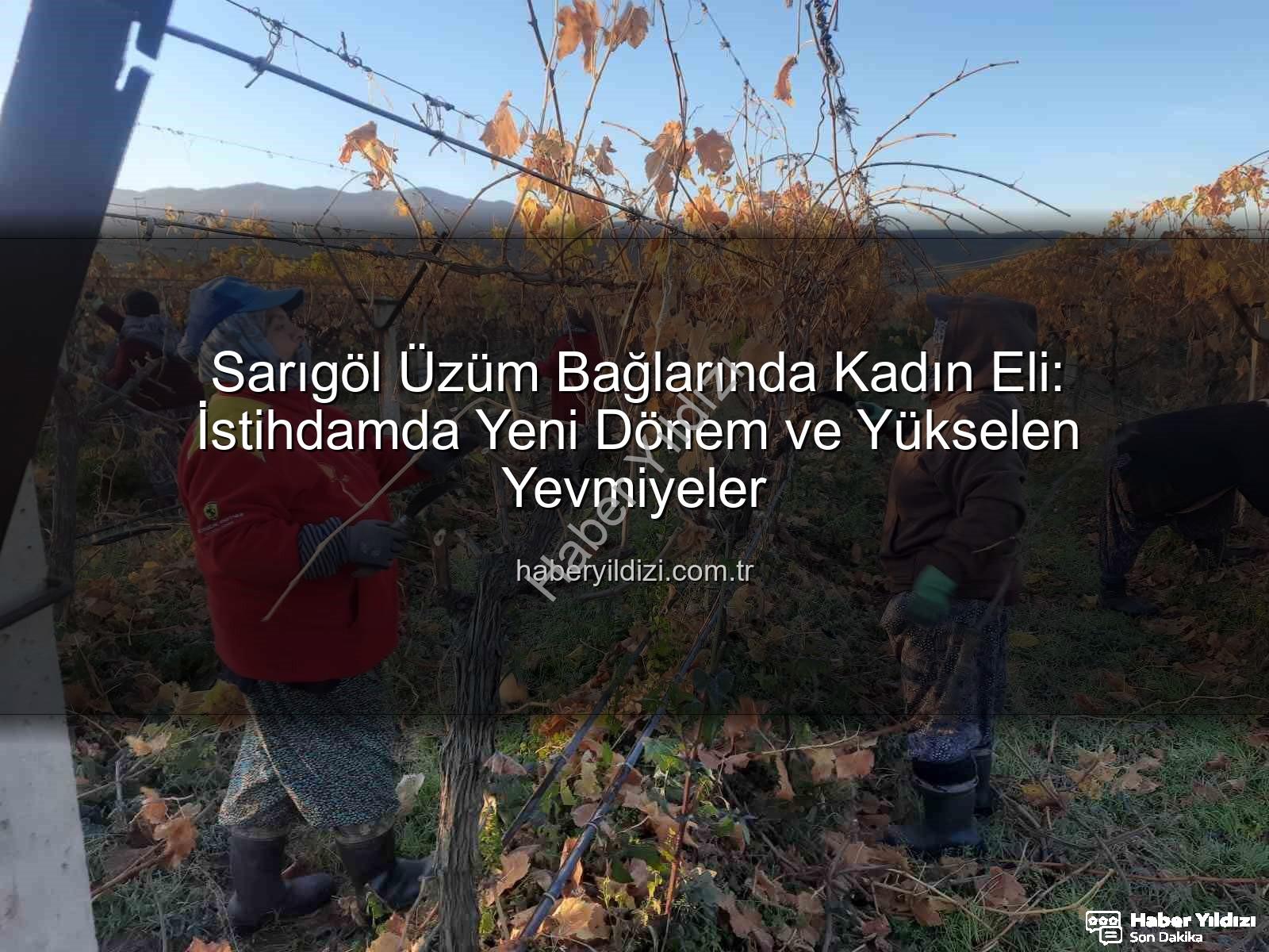 kadın istihdamı - Sarıgöl Üzüm Bağlarında Kadın Eli: İstihdamda Yeni Dönem ve Yükselen Yevmiyeler