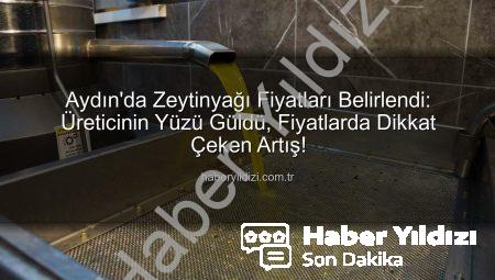 Aydın’da Zeytinyağı Fiyatları Belirlendi: Üreticinin Yüzü Güldü, Fiyatlarda Dikkat Çeken Artış!