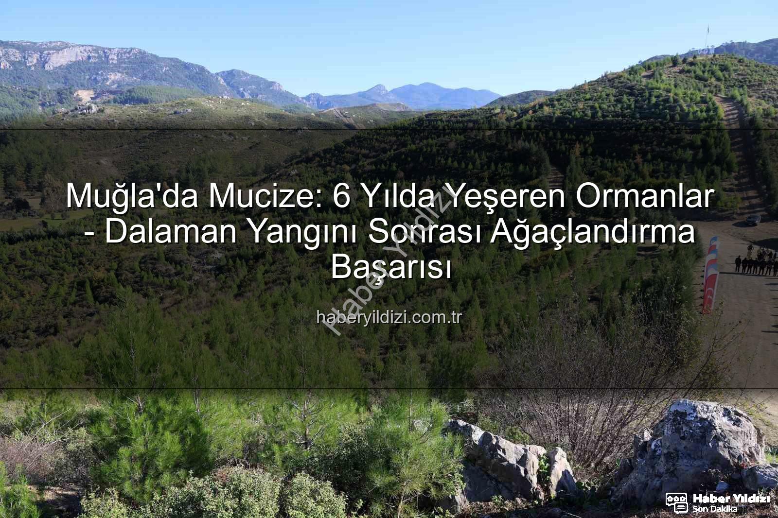 ağaçlandırma çalışmaları - Muğla'da Mucize: 6 Yılda Yeşeren Ormanlar - Dalaman Yangını Sonrası Ağaçlandırma Başarısı